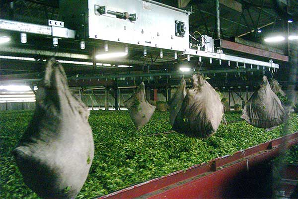 Geschlossener Powertrack Enclosed Powertrack